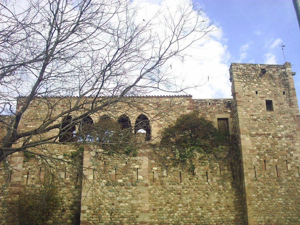 Terrassa castell-cartoixa vallparadís by Marc Raluy