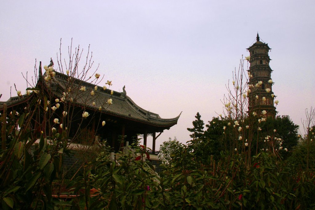 Buddhist Temple, Jiujiang by DarwinBurns