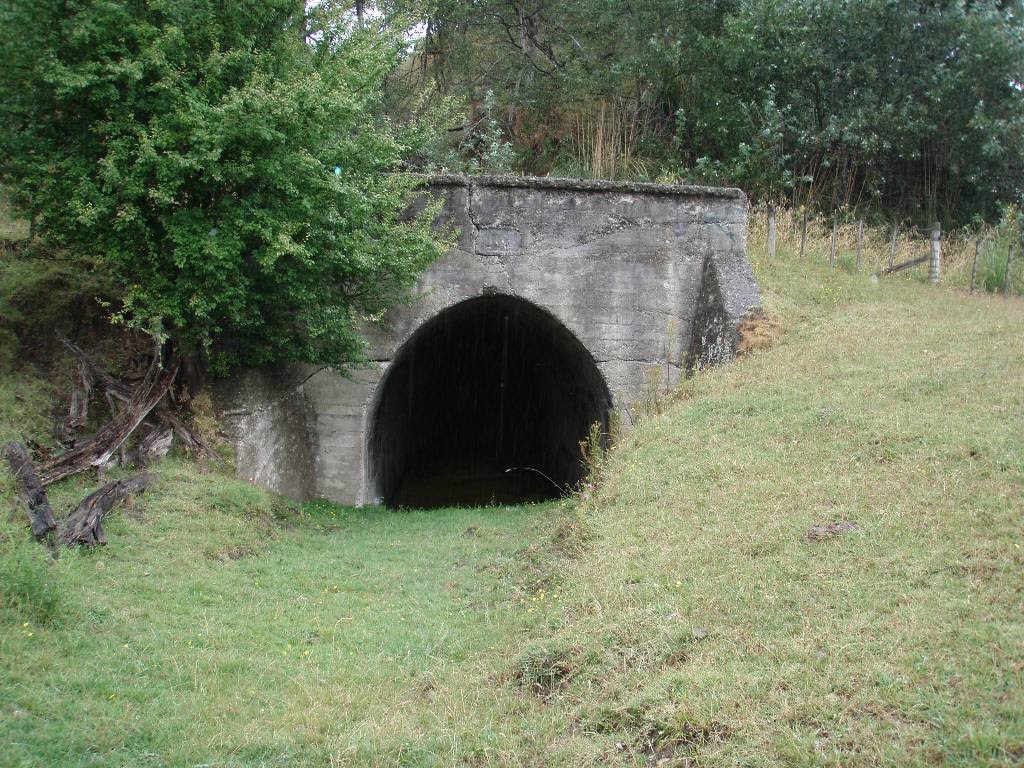 Te Karaka Railway by Kevin Isemonger