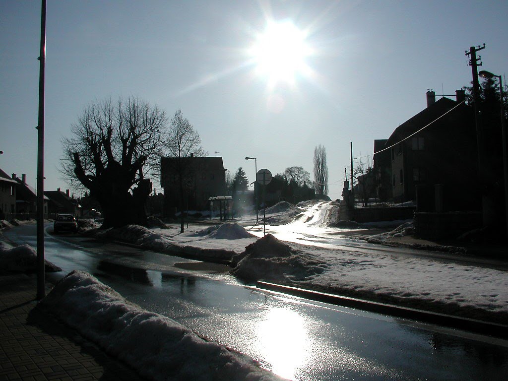 Turnov-Daliměřice ("u lip") by Rodrich