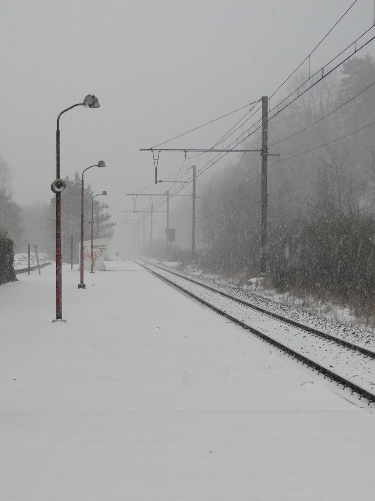 Barvaux Sur Ourthe Station by R. Weyts