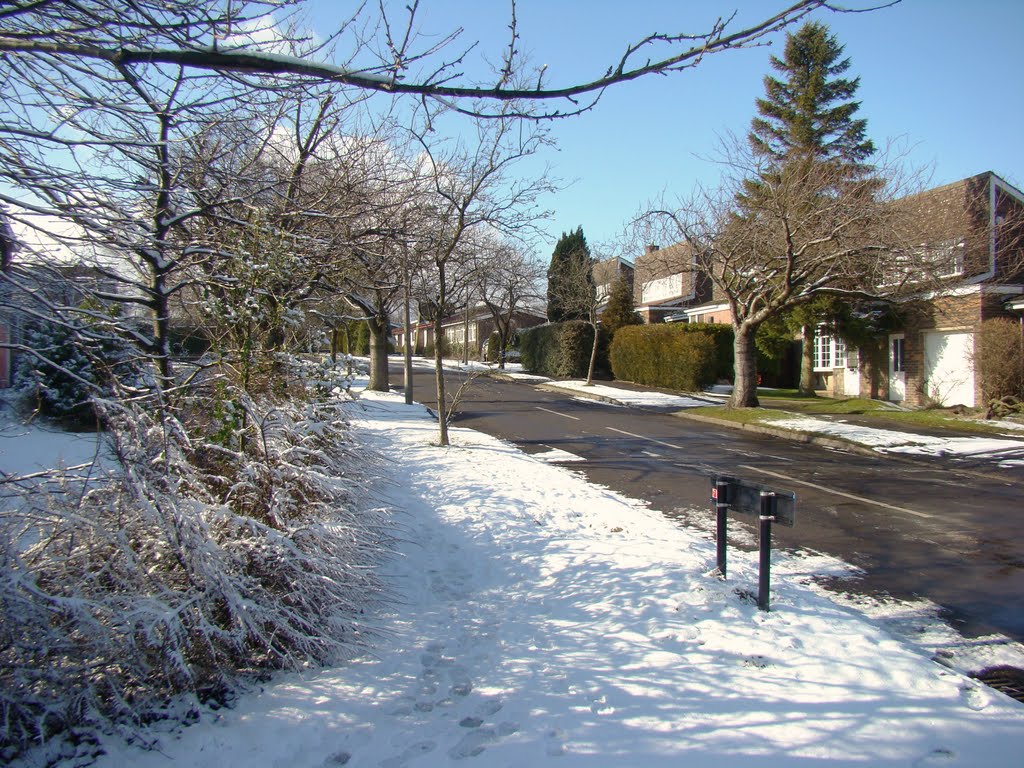 The Fairway in the snow, Lodge Moor, Sheffield S10 by sixxsix