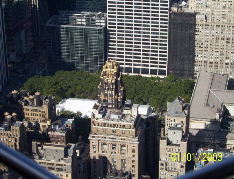 Public Library from Empire State by andysanisidro