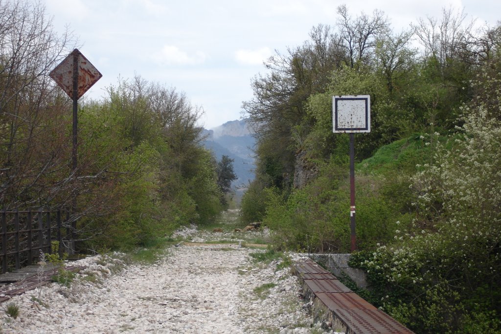 Via del tren by lorea