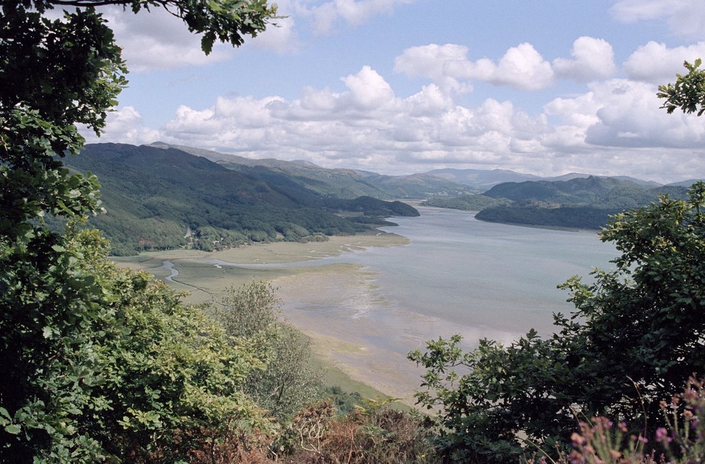 Mawddach estuary by Matthew Winn