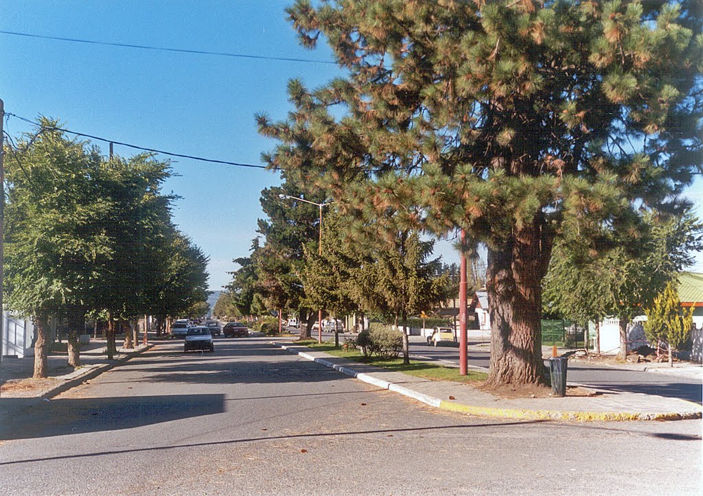 Trevelin - Chubut - 2002 by eassi