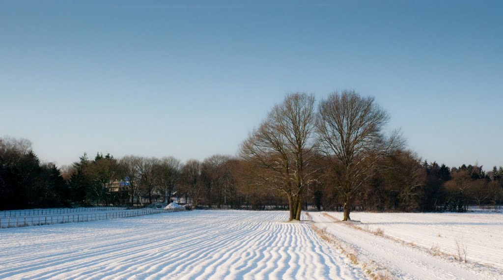 Laren by Arjan Keers