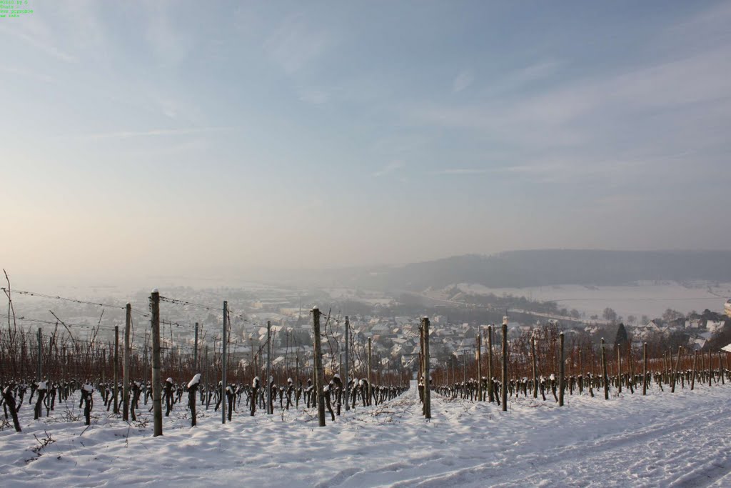 Blick über Gundelsheim im Winter + Schnee by G.Stotz