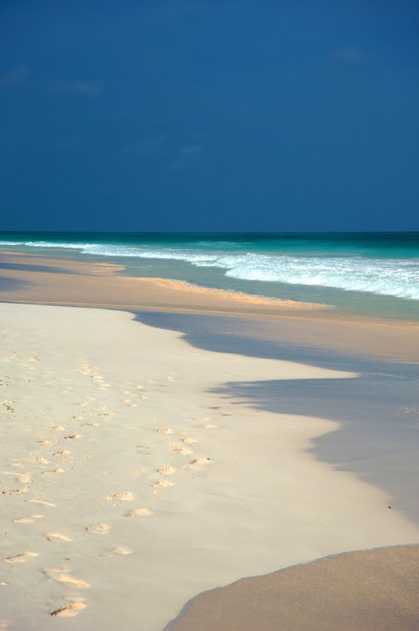 Pink Sand Beach, Harbour Island by Belle Momenti Photography