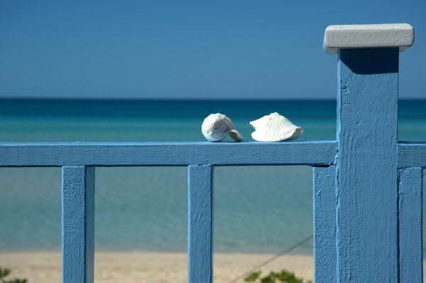 Alabaster Beach by Belle Momenti Photography