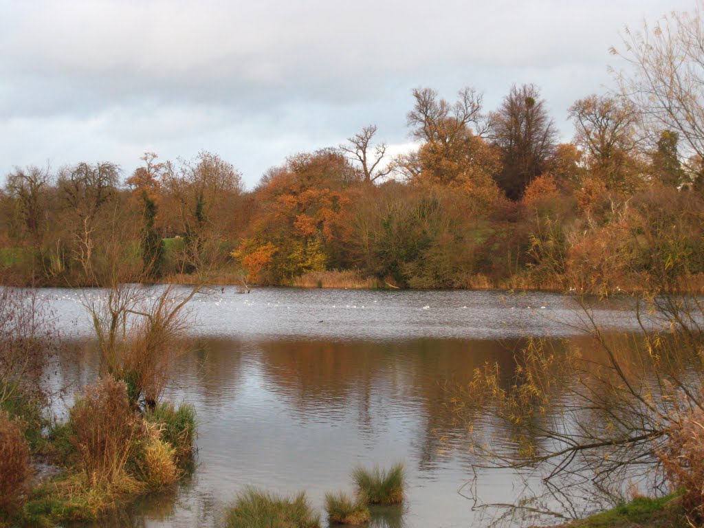 Mote Park in autumn by Chris Seager