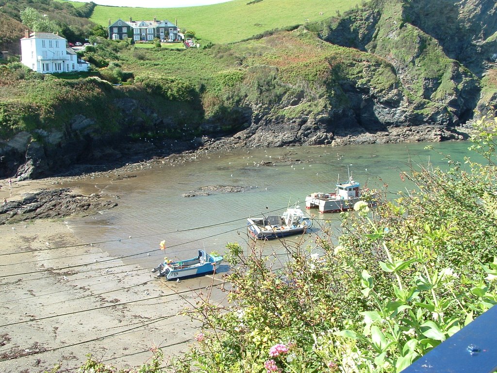 Port Isaac by Neal Clark