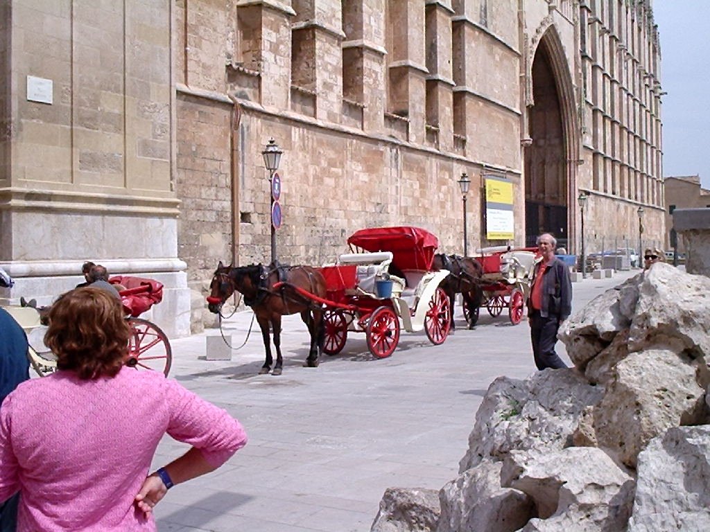 Palma de Mallorca,Catedral by Modesto Silva