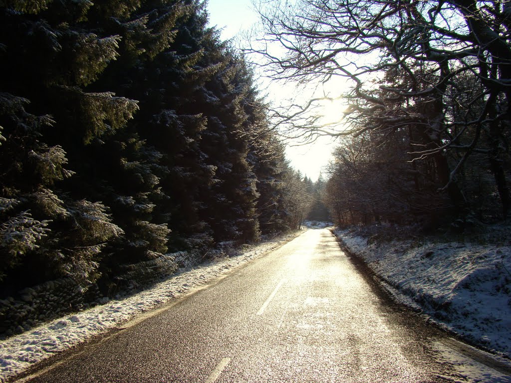 Snowy Mortimer Road looking due south west, Bradfield Dale, Sheffield S6 by sixxsix