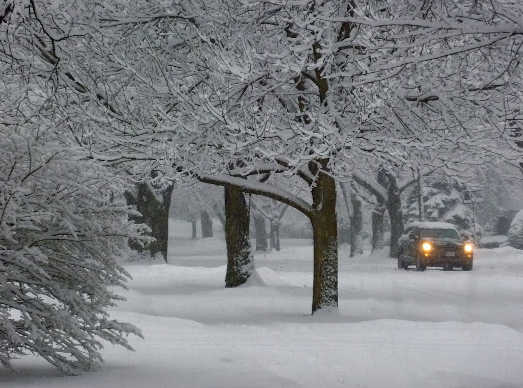 White Out by stratfordct