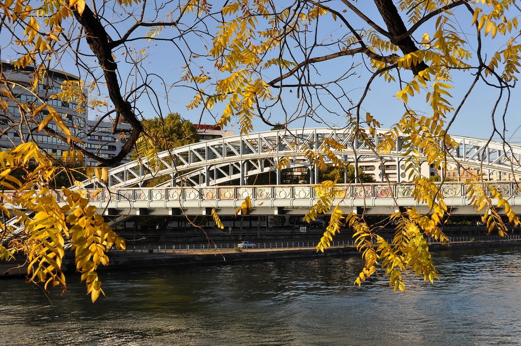 Pont parisien à l'automne .fg by Giraudon Francis