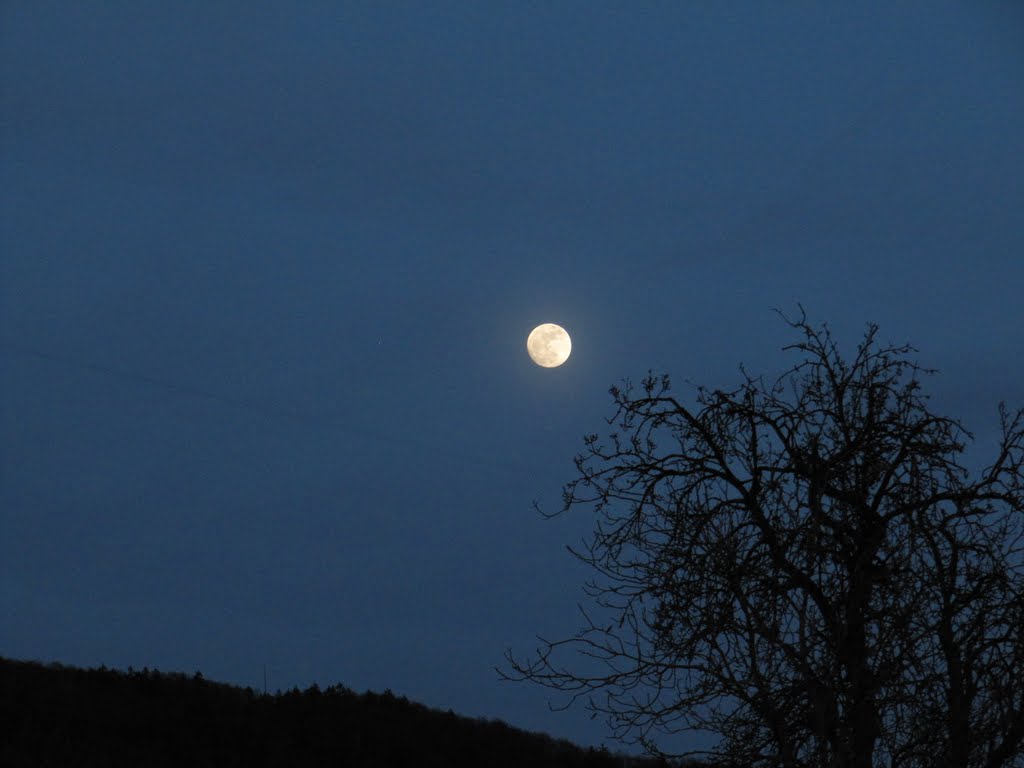 Mond über dem Moritzberg by Christian Laurer