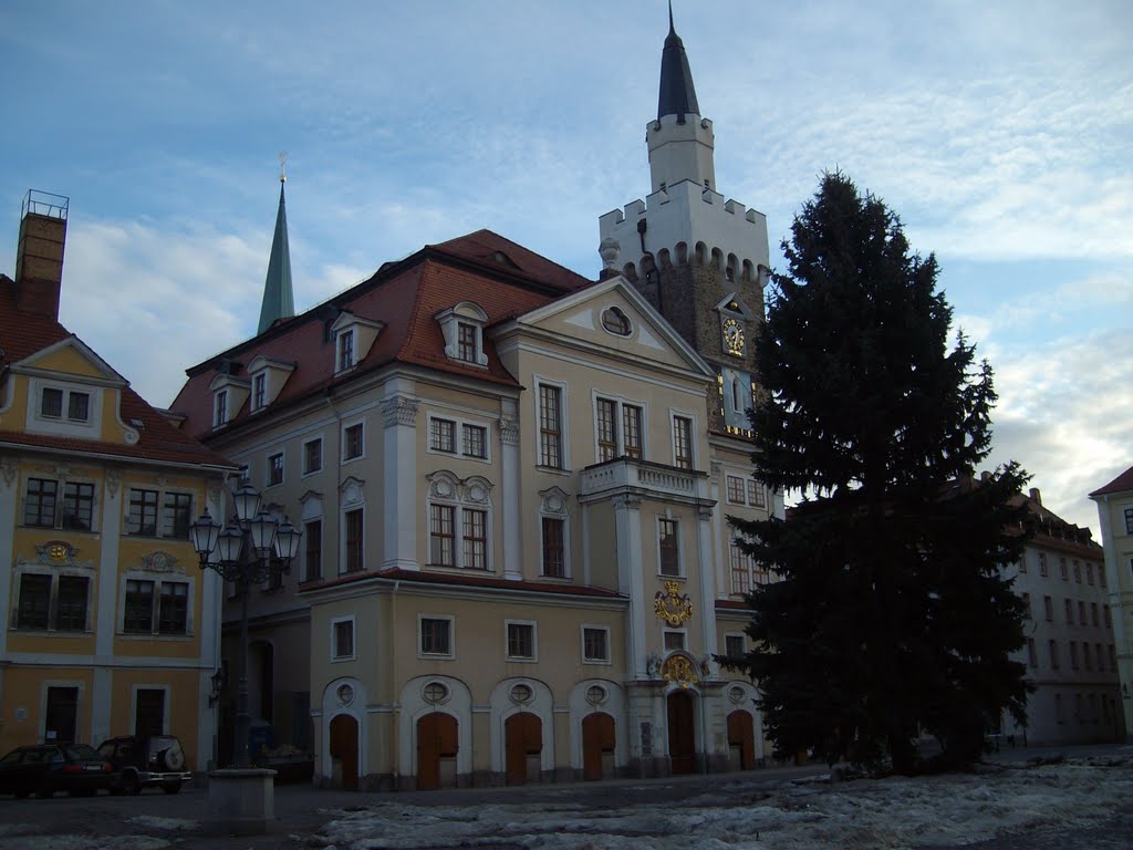 Februar 2010 Weihnachtsbaum mit Rathaus by alexander_weber