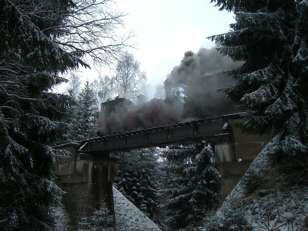 Ein Wintermärchen by Schmalspur Sa.