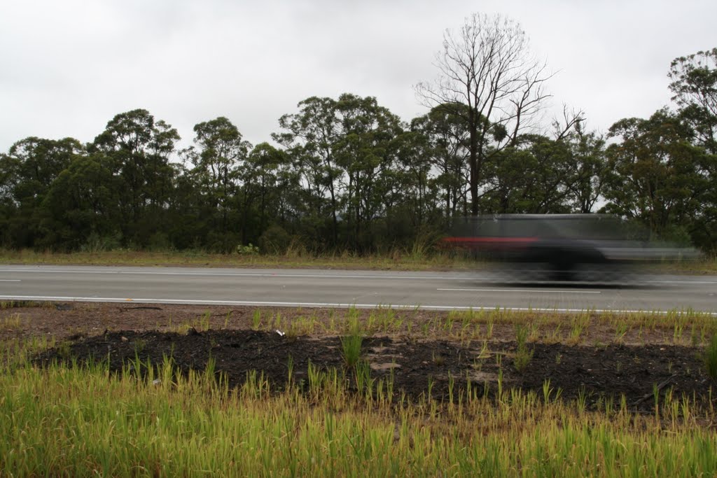 Pacific-highway-2009b.jpg by James Popple