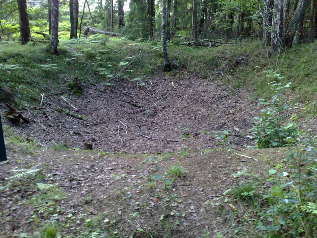 Bomb crater from WW2 in Mosseskogen by haraldbro