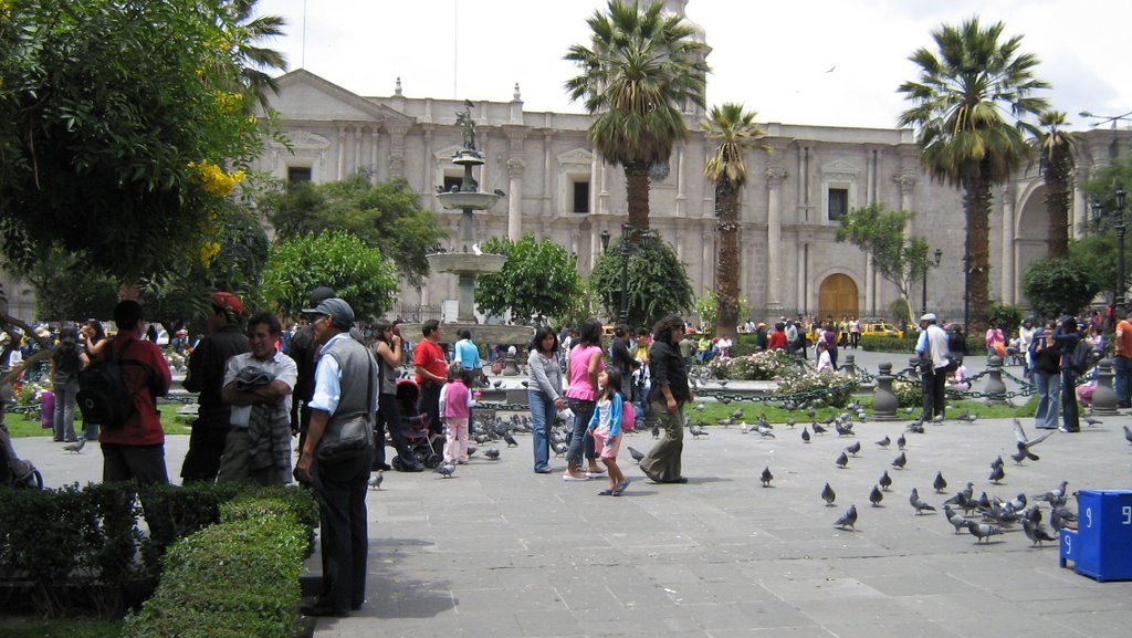 Plaza de Armas y Catedral de Arequipa by Oscar P. Leon Vidal