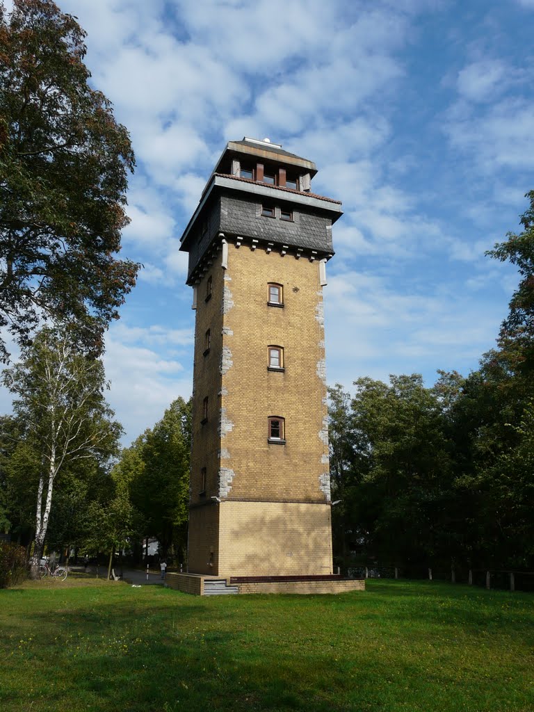 Germany_Hennickendorf_Viewtower on the Wachtelberg hill_P1090926.JPG by George Charleston