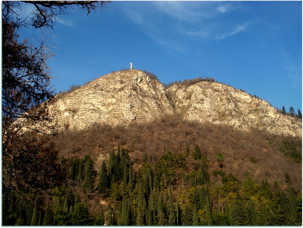 Vista del Monte Cognolo dalle Torbiere del Sebino by Marisa Serafini