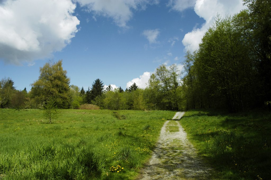 Tynehead Park Meadow by psyclist