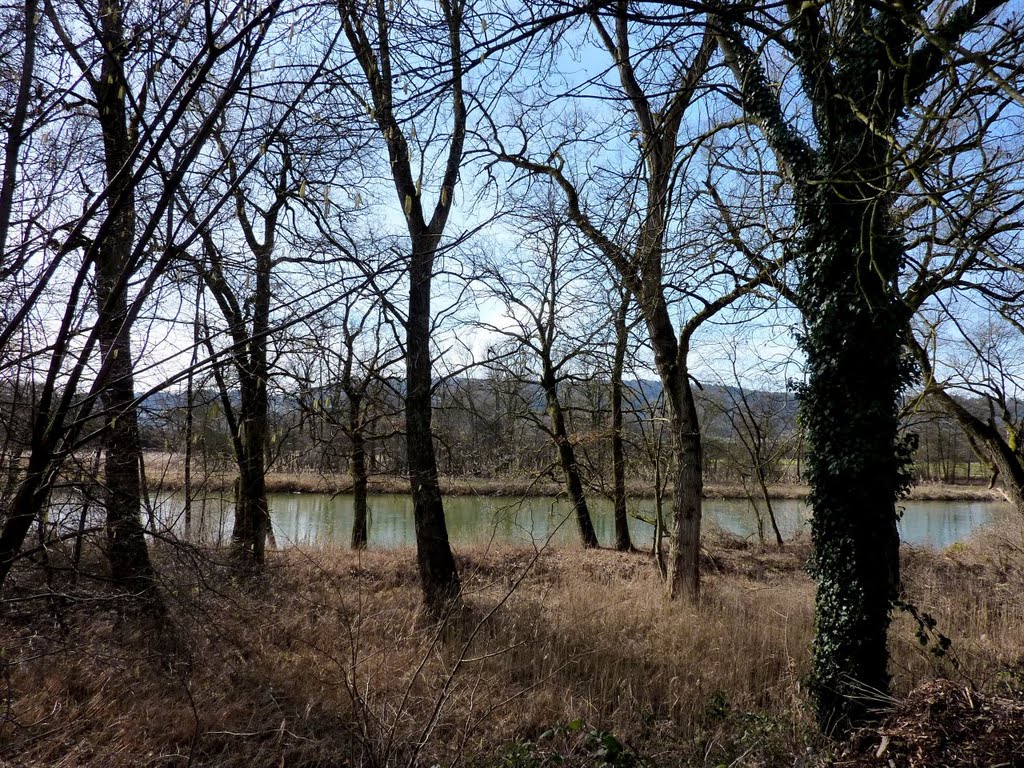 An der Limmat bei Oetwil an der Limmat by schoella