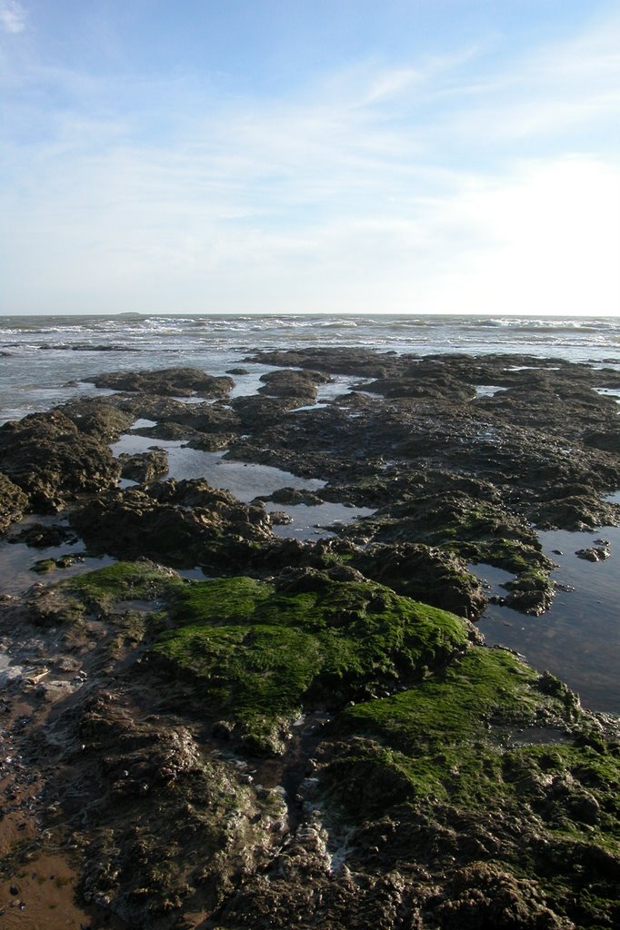 Marée basse à Pornichet by Anoril