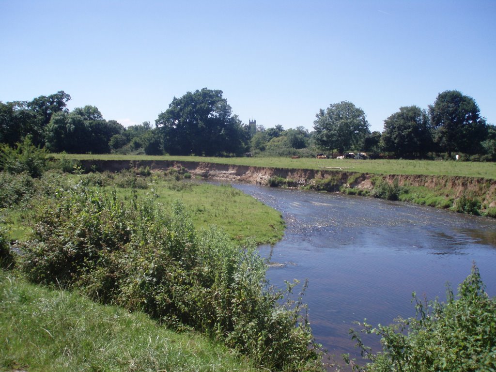 The River Culm meander by A Photographer