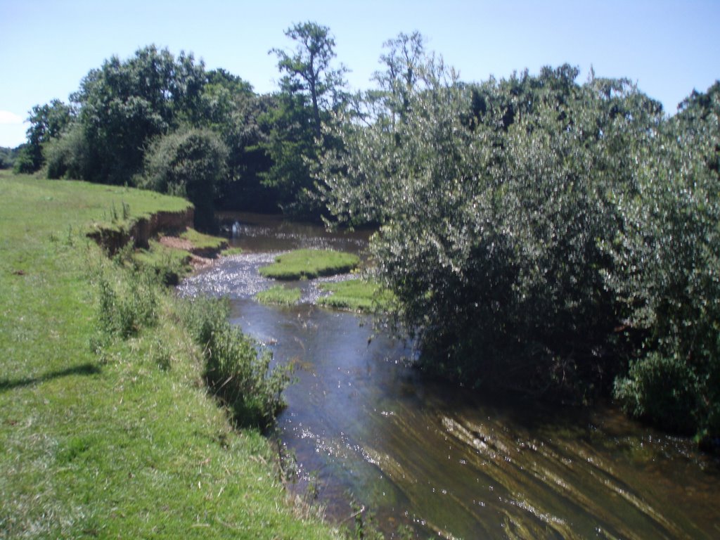 The River Culm by A Photographer