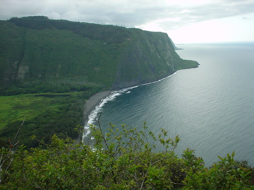 Waipio valley by SPATS