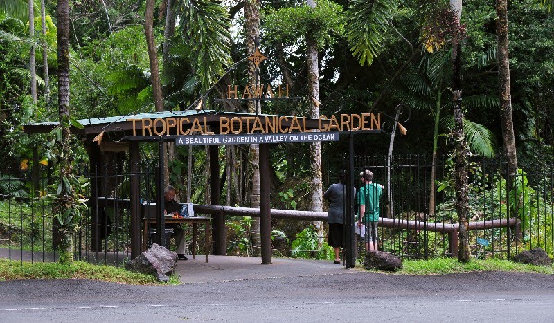 Hawaii Tropical Botanical Garden by longbachnguyen