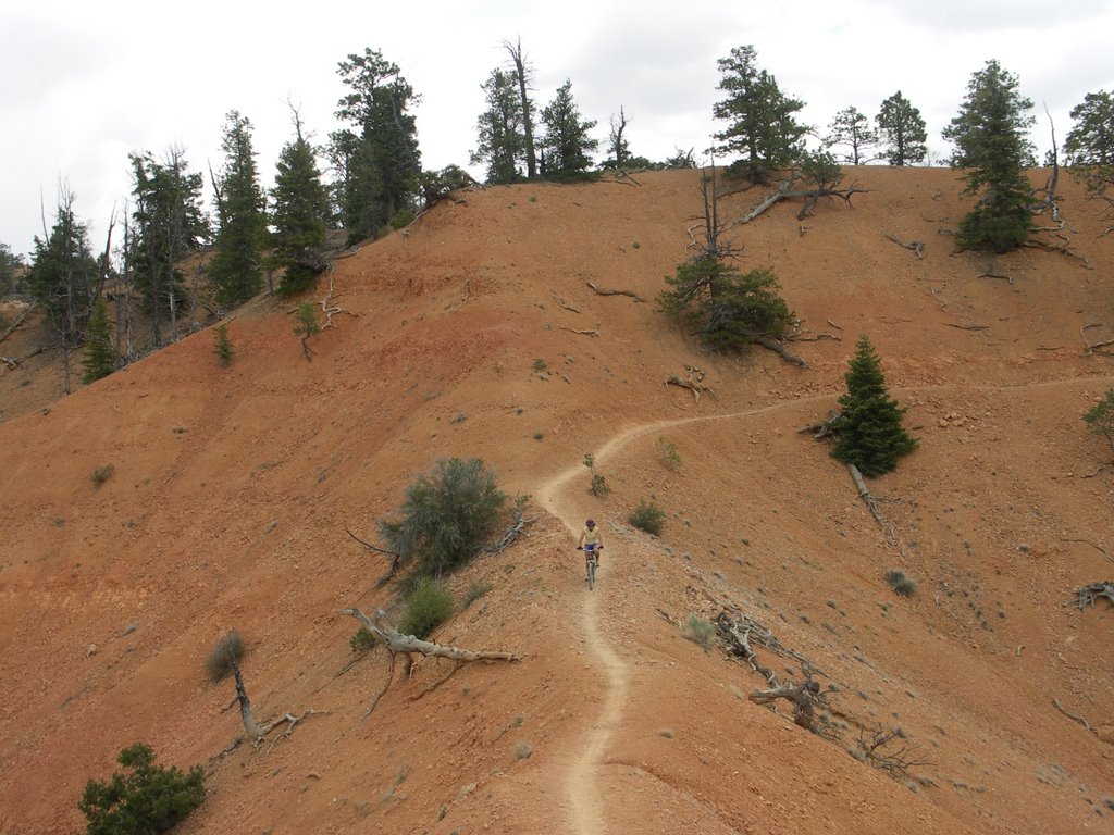 Thunder Mtn Bike Trail by andrzejcalgary