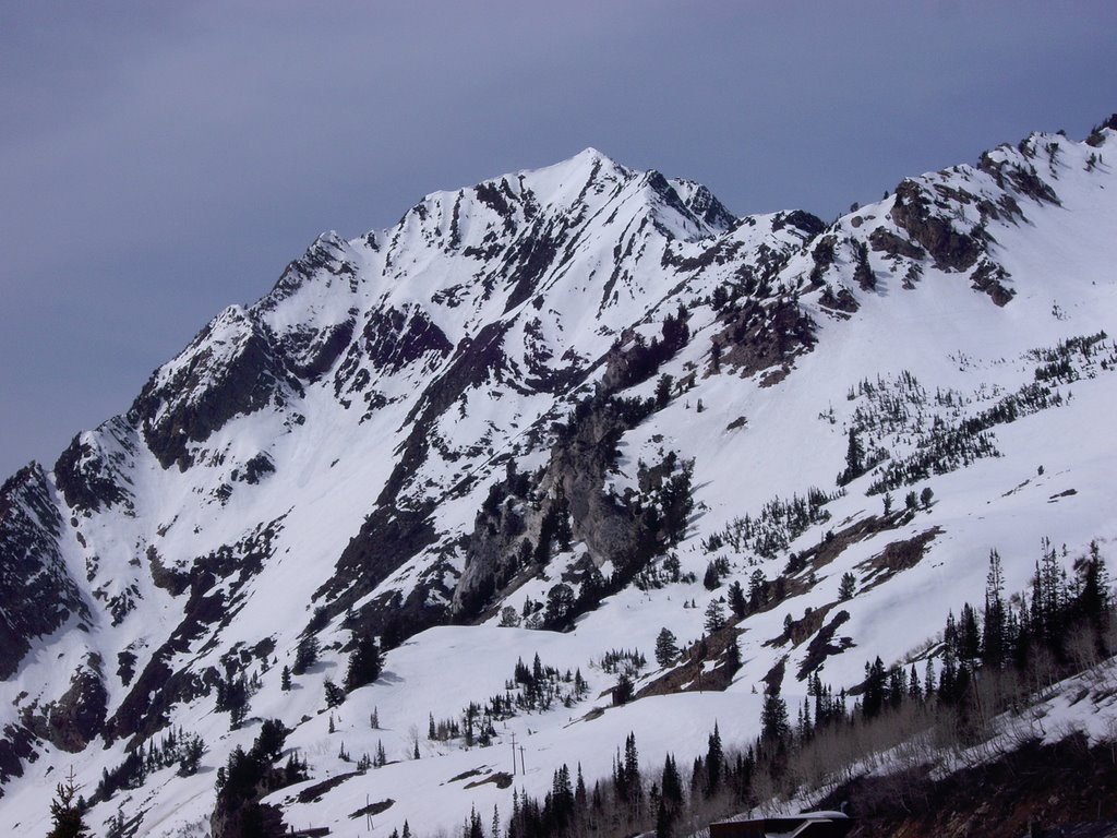 Mt. Superior - Wasatch Range, UT by dtraub