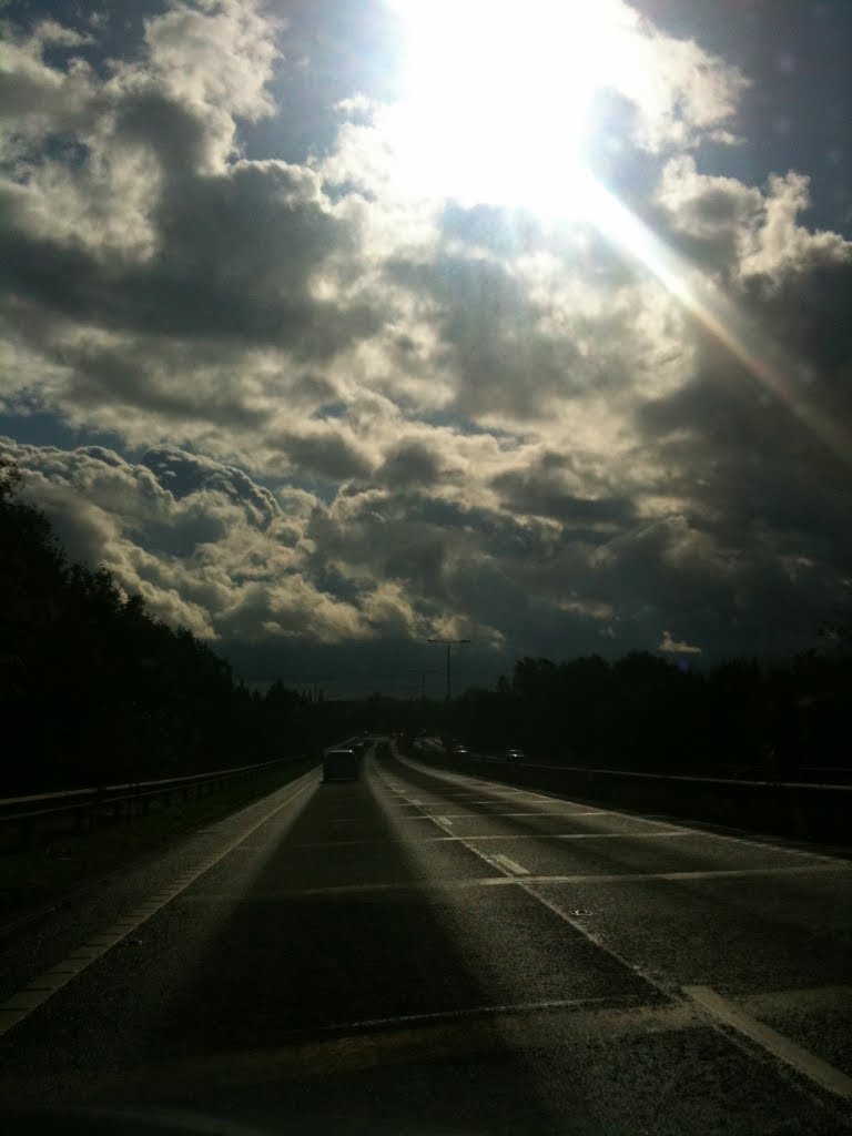 Sunlight on the A38 by Richard Mackney