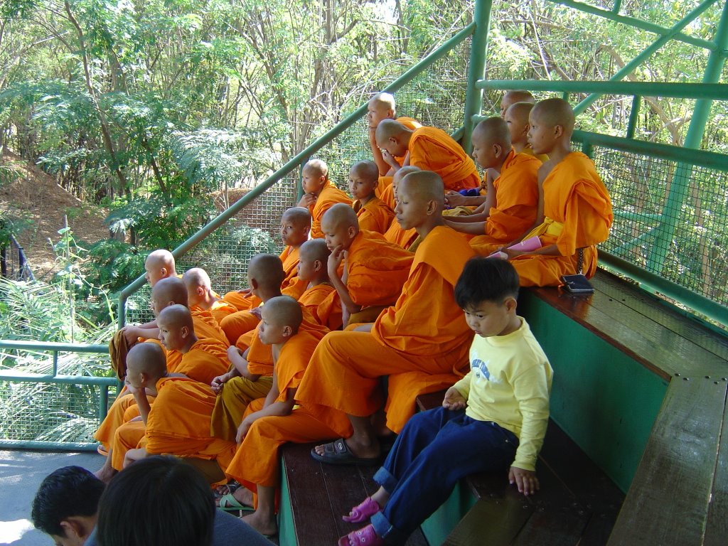 Thailand North East Isaan Korat Korat Zoo young monks showing sea lion show by chezandy