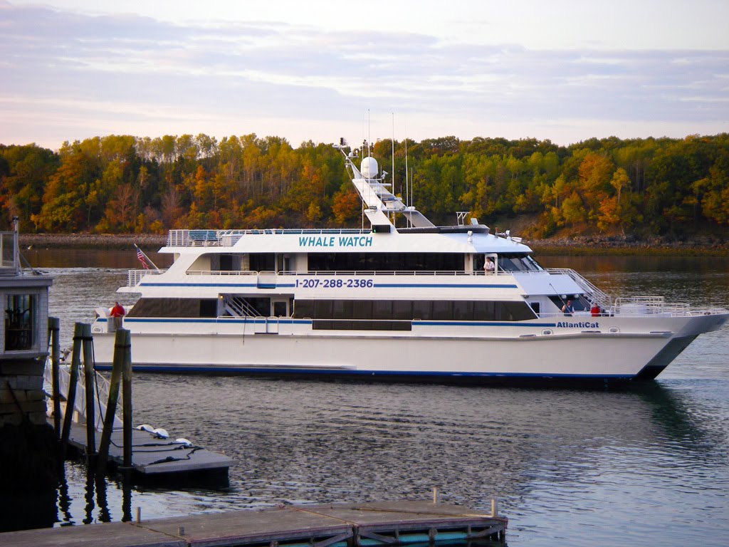 USA - ME. Mt.Desert Island - Bar Harbor. Whale Watch Catamaran after a long journey. by ®mene