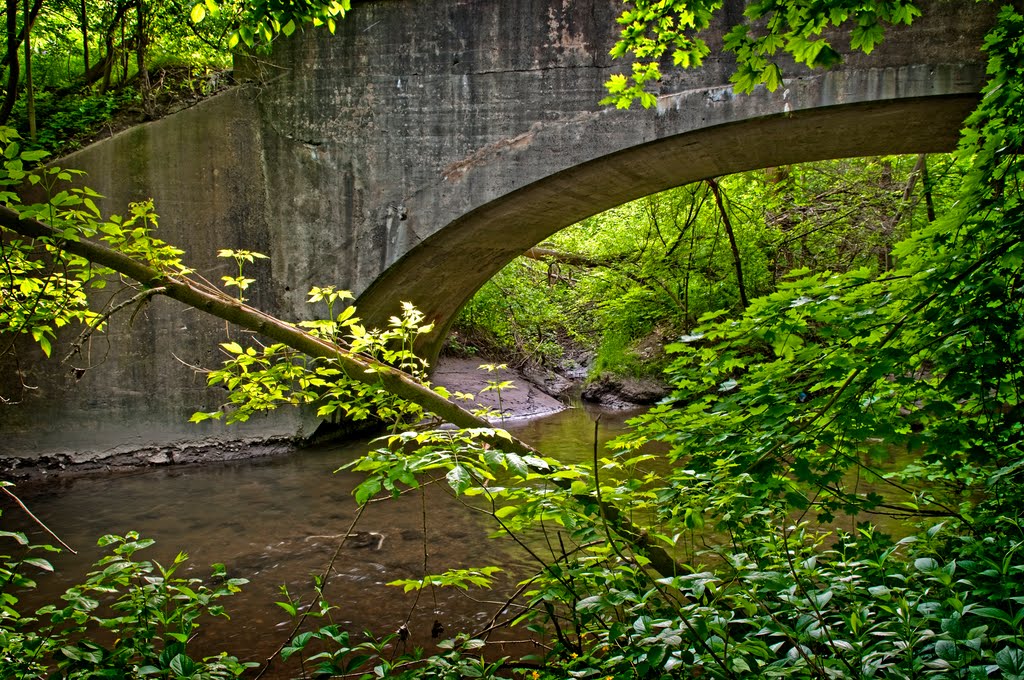 Lost Bridge by Faryndale