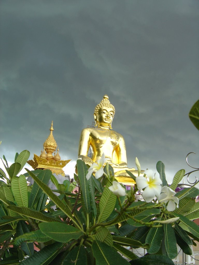 Thailand Golden Triangle Buddha in front of the dark by chezandy