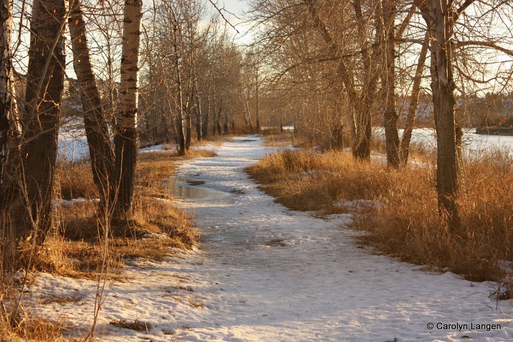 Beaverdam Flats, Calgary by cdlangen