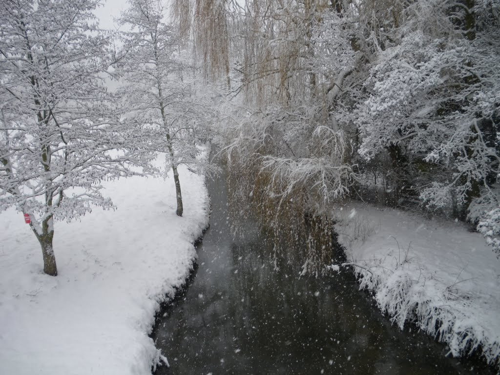 View from aberford bridge feb. 2010 by jimwhoisnot