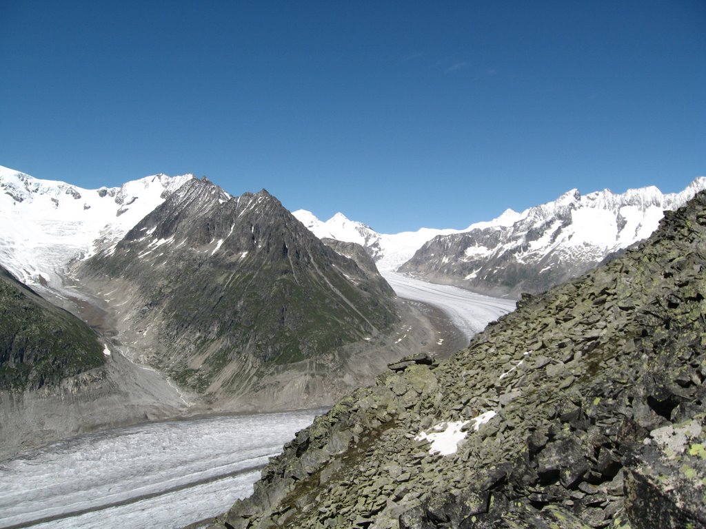 Aletschgletscher from bettmerhorn by Petr Ducháč