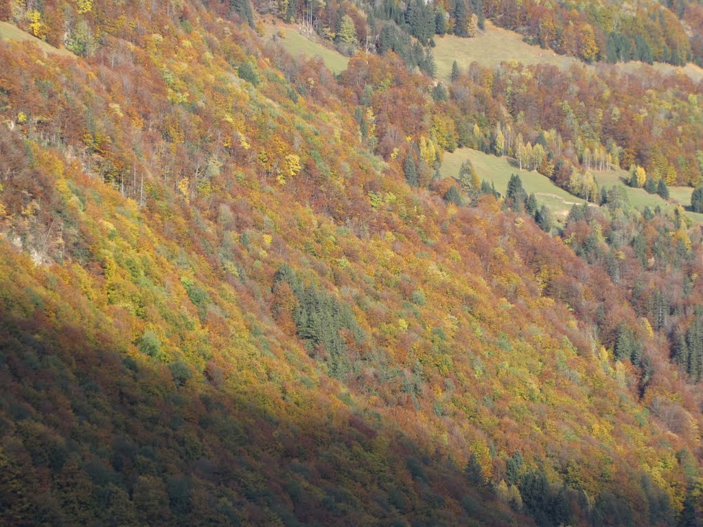 Herbst am Lungernsee by Fritz Steiner