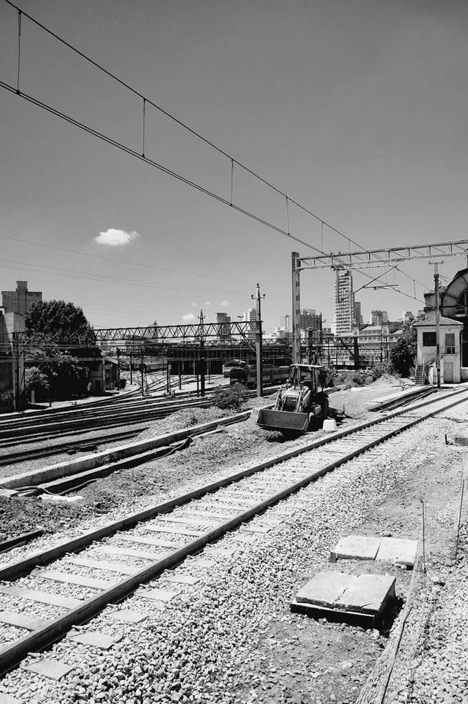 Entre e Estação Julio Prestes e Barra Funda by Dener Costa