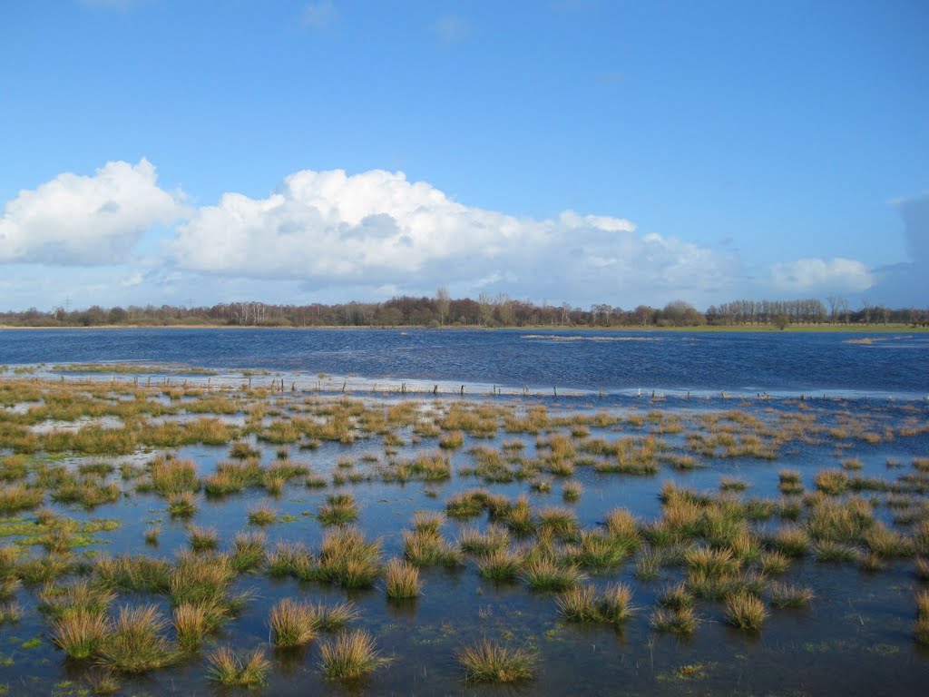 Die Oberalster bei Hochwasser. (Wakendorf II) by Hans Wolters