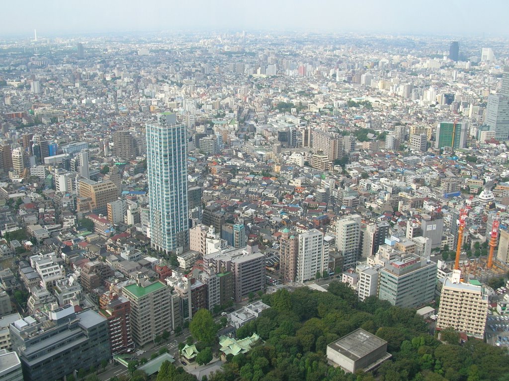 View from Tokyo town hall by McMaze