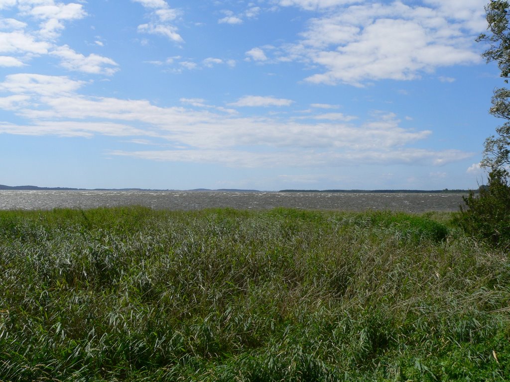 Großer Jasmunder Bodden by Patrick Teising